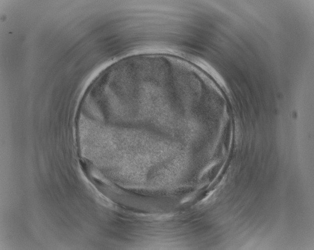 X0000076260996200610262000