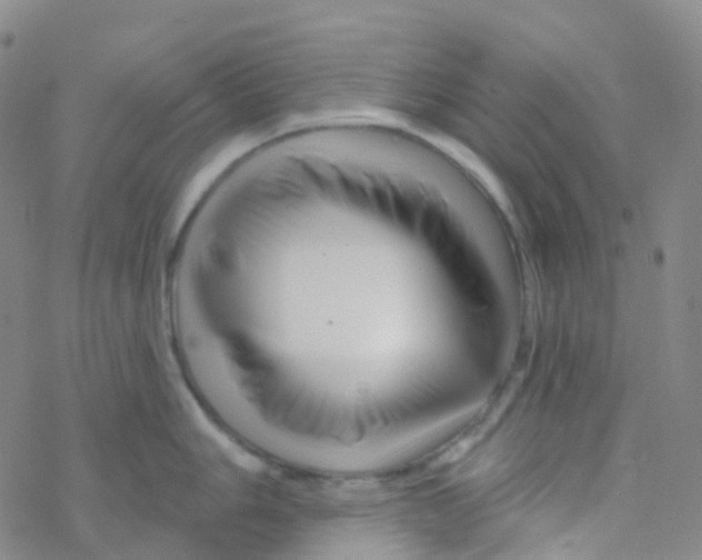 X0000076261006200610262000