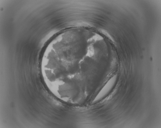 X0000076261071200610261959