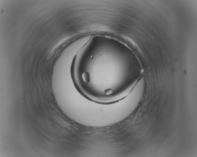 X0000076261112200610261958