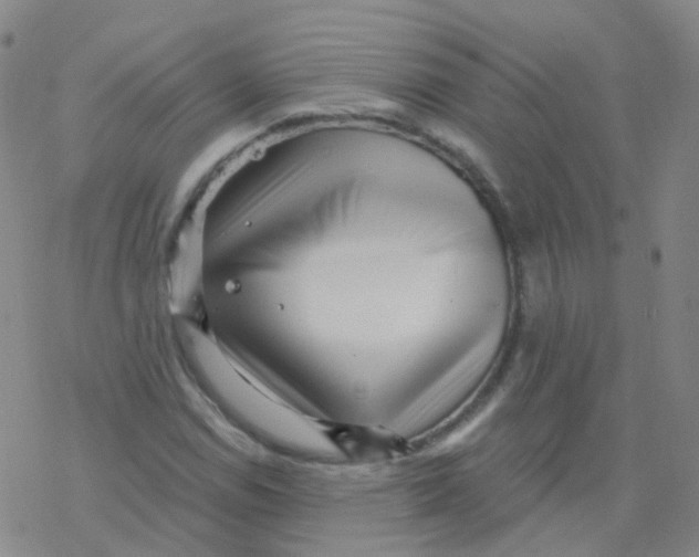 X0000076261114200610261958