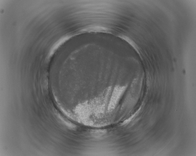 X0000076261115200610261958
