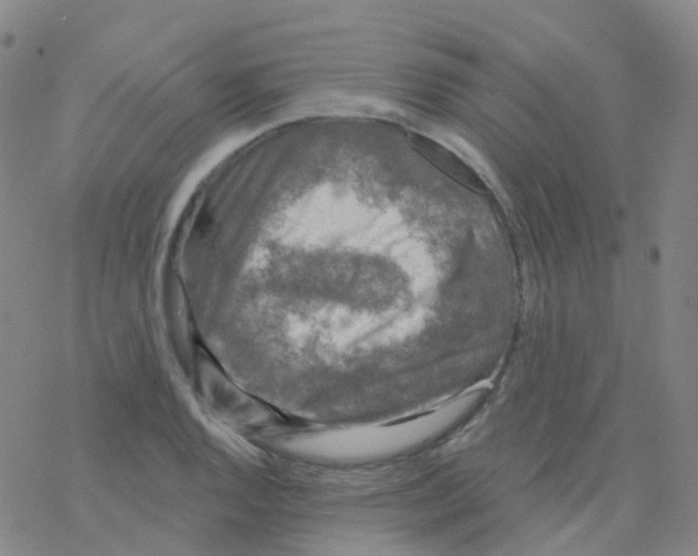 X0000076261128200610261958