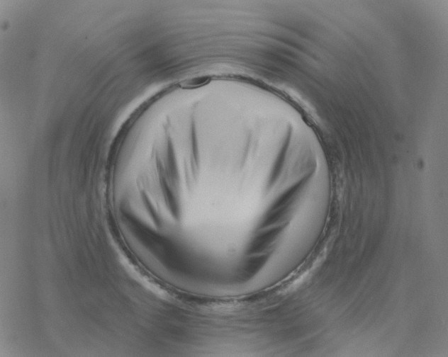 X0000076261134200610261958
