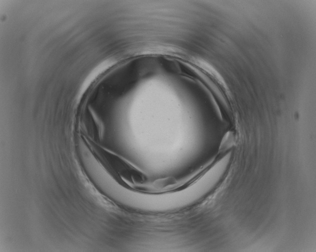 X0000076261138200610261958