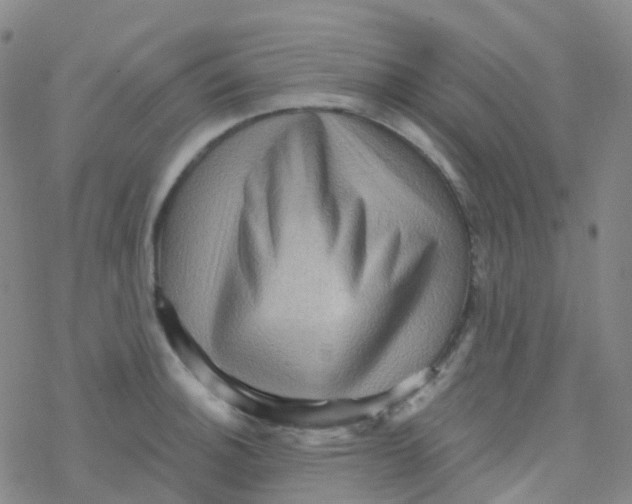X0000076261140200610261958