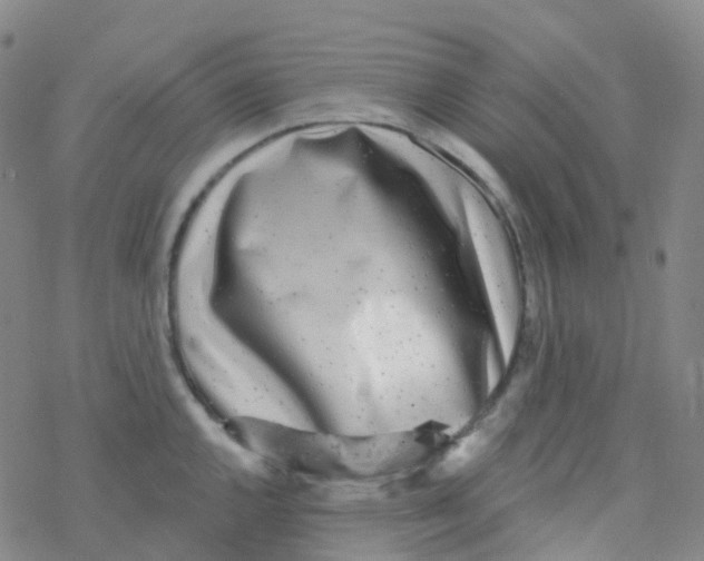 X0000076261144200610261959