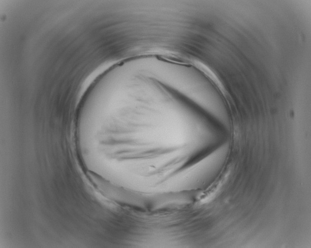 X0000076261149200610261959