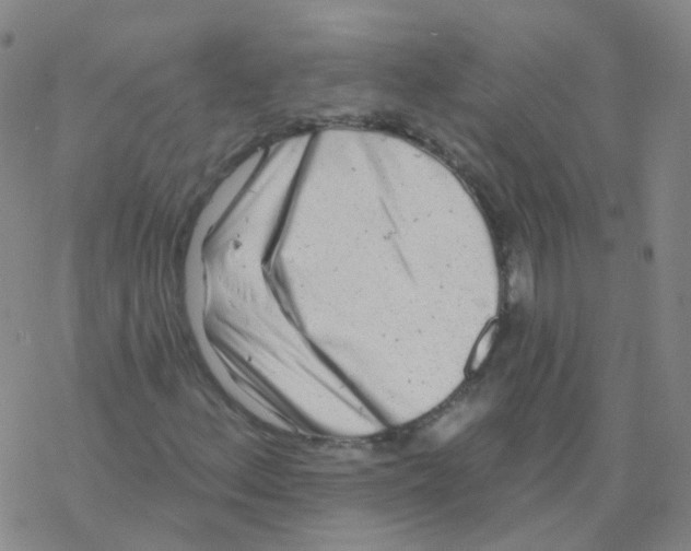 X0000076261156200610261958