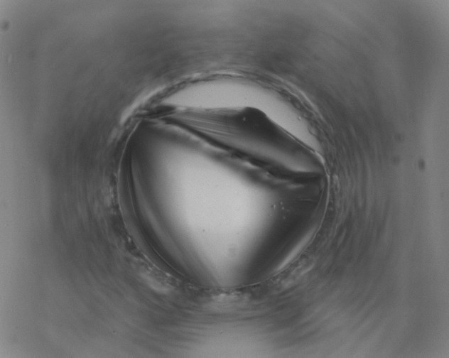 X0000076261160200610261958