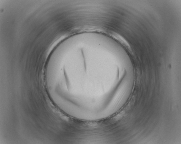 X0000076261190200610261957