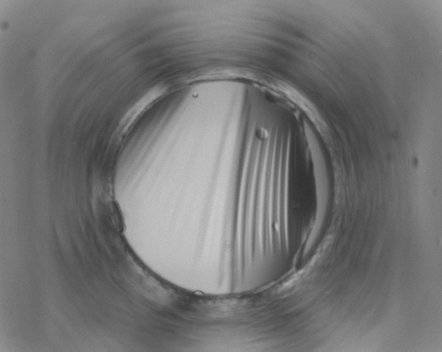X0000076261193200610261957