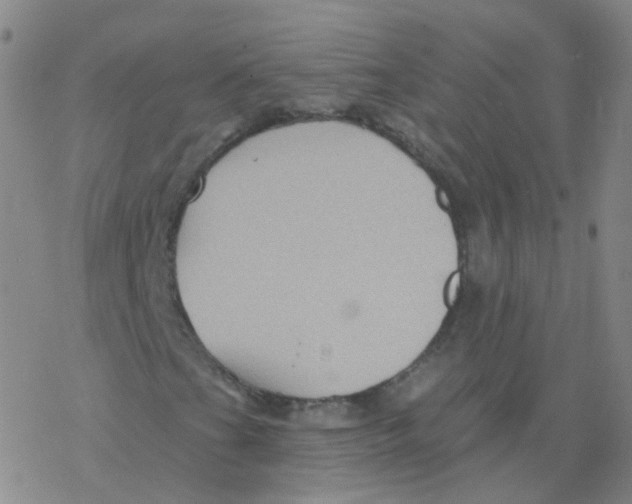 X0000076261201200610261956