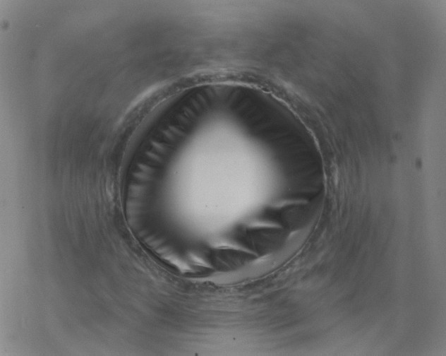 X0000076261206200610261956