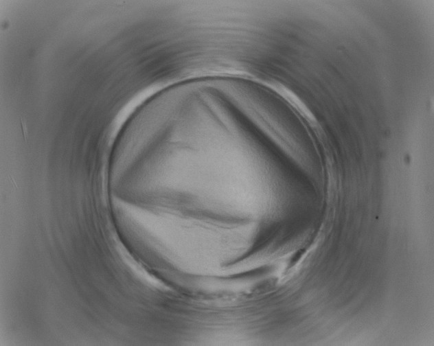 X0000076261246200610261957