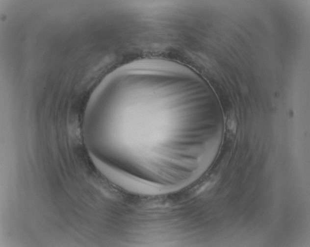 X0000076261252200610261956
