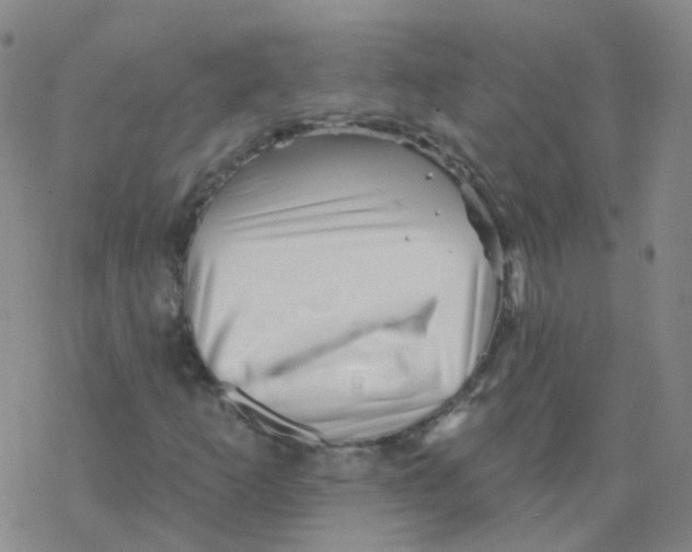 X0000076261253200610261956
