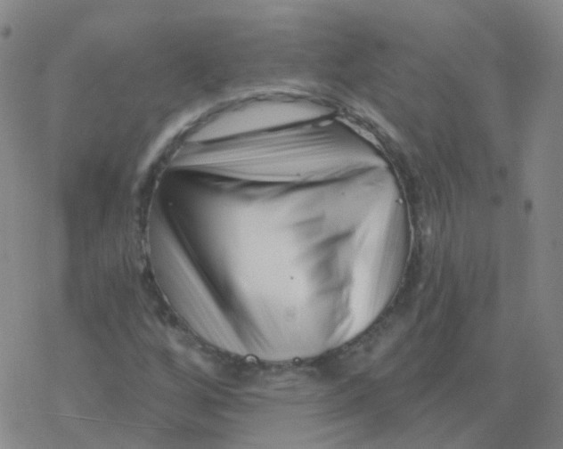 X0000076261256200610261956