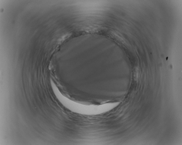 X0000076261298200610261955