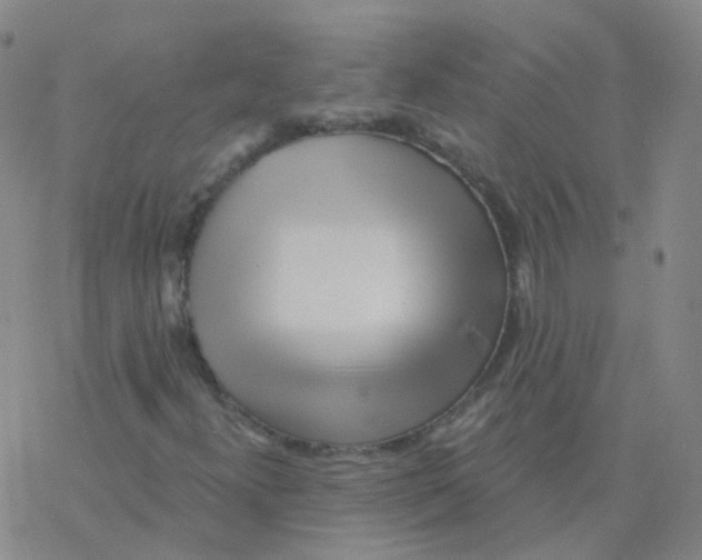 X0000076261300200610261955
