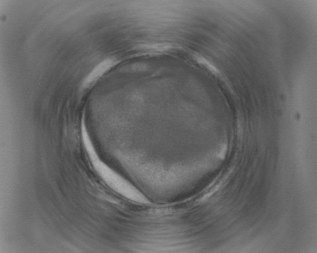X0000076261354200610261955