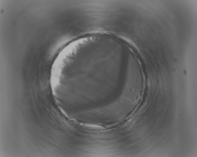 X0000076261359200610261955