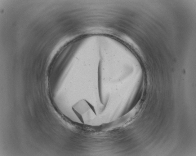 X0000076261376200610261954