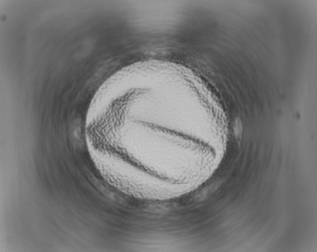 X0000076261396200610261953
