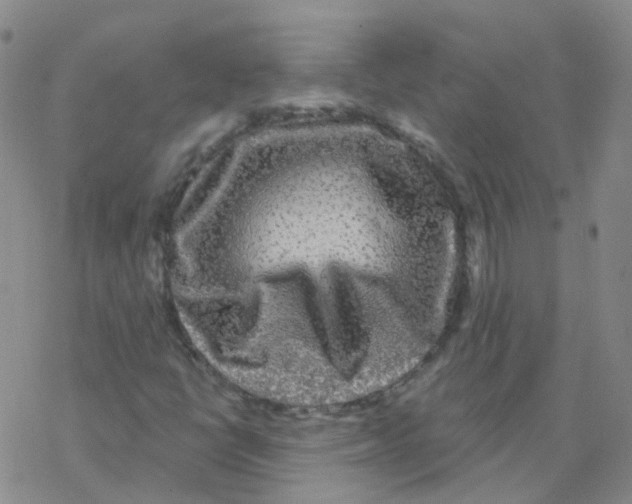 X0000076261398200610261953