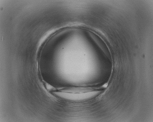 X0000076261414200610261954