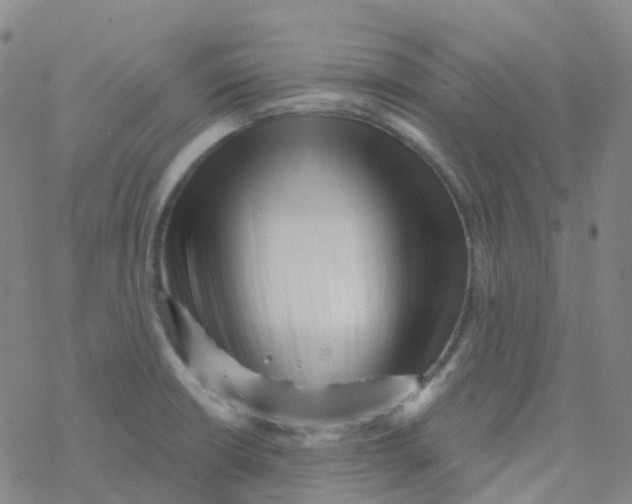 X0000076261426200610261954
