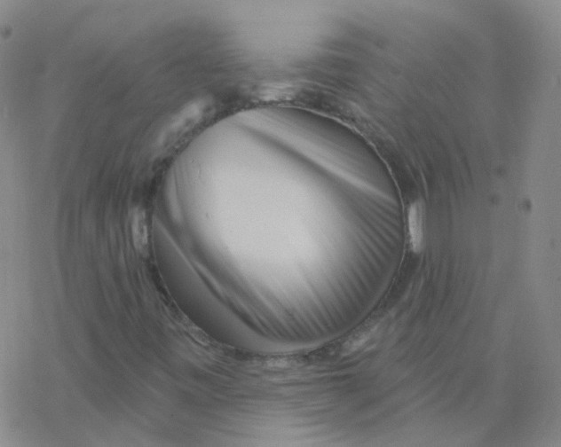 X0000076261443200610261953