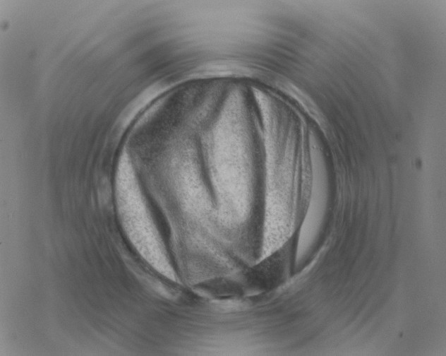 X0000076261465200610261953