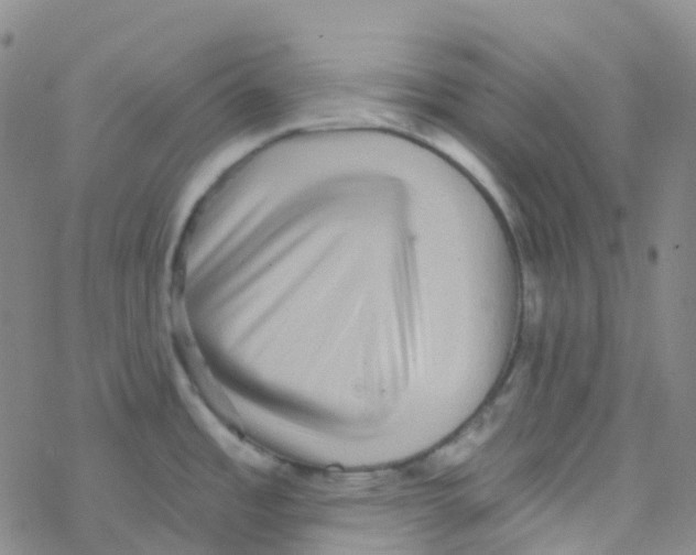 X0000076261485200610261953