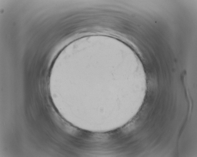 X0000076261514200610261952