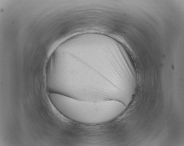 X0000076261524200610261952