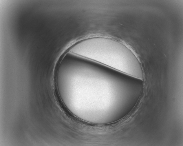 X0000076270008200609281057
