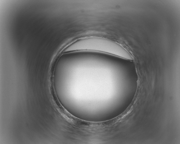 X0000076270101200609281056