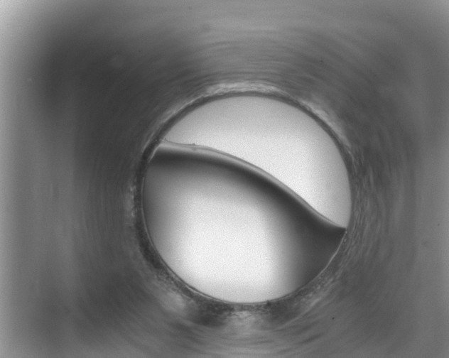 X0000076270111200609281056