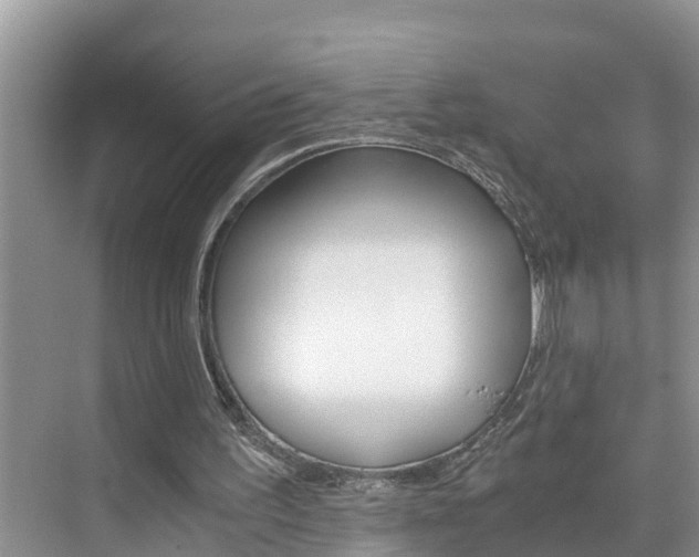 X0000076270195200609281054