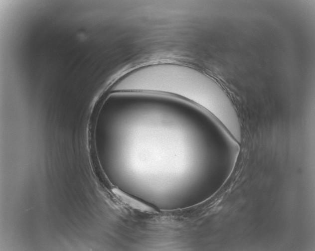 X0000076270244200609281053