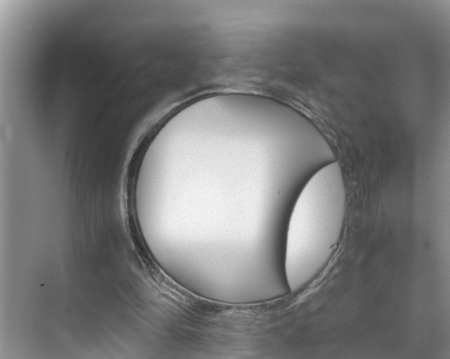 X0000076270294200609281053