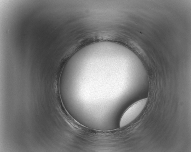 X0000076270401200609281051
