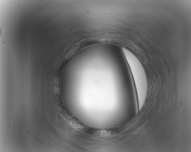 X0000076270421200609281051