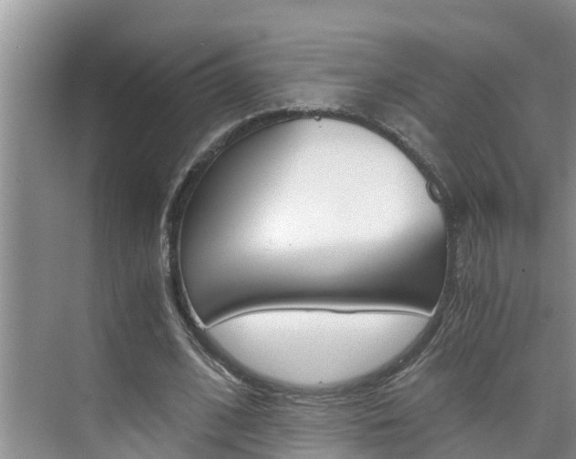 X0000076270584200609281048