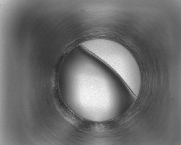 X0000076270600200609281047
