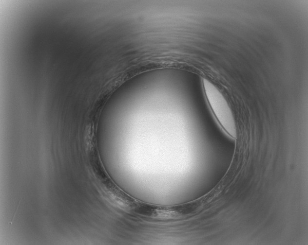 X0000076270605200609281047