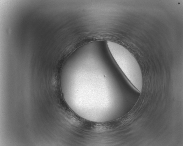X0000076270608200609281047