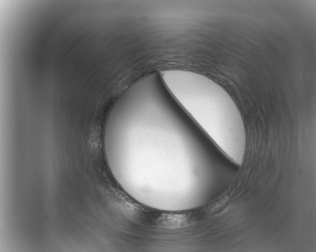 X0000076270665200609281047