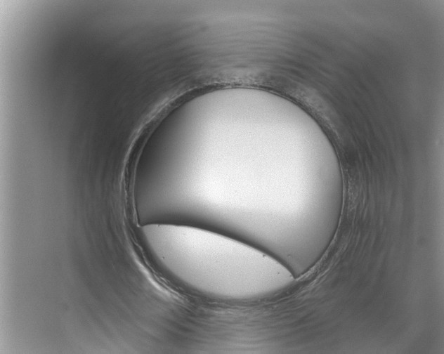 X0000076270674200609281046